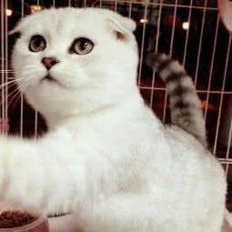 酷迪(后沙峪店):北京城区顺义区后沙峪附近