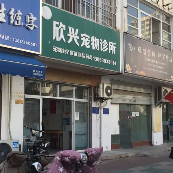 欣兴宠物诊所:淮安市清江浦区上海路附近