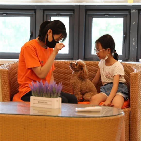 爱思嘉宠物私塾:北京城区顺义区后沙峪附近