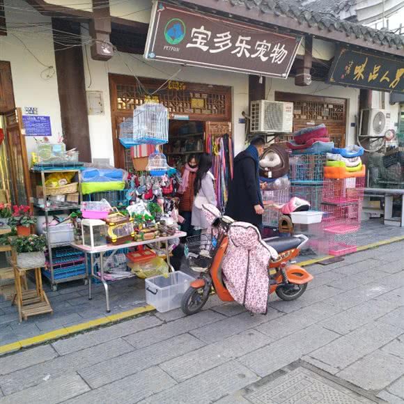 宝多乐宠物:淮安市清江浦区台北city不夜城附近