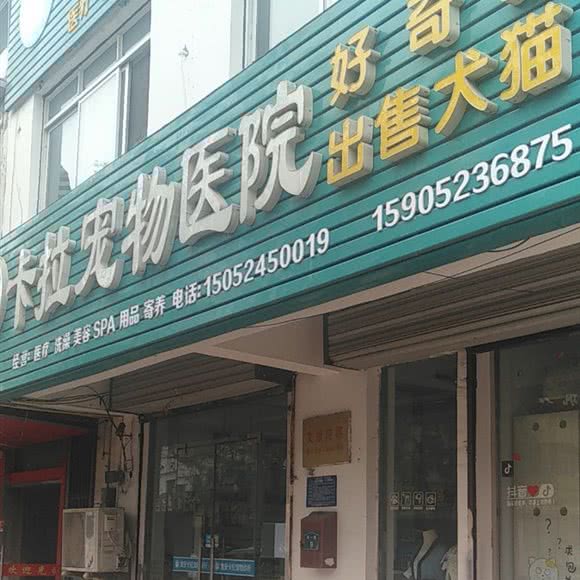 卡拉宠物诊所:淮安市清江浦区开发区附近