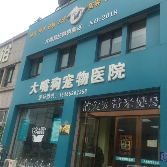 大嘴狗宠物医院:淮安市清江浦区开发区附近