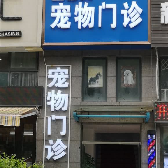 宠精灵宠物医院:盐城市亭湖区希望路附近