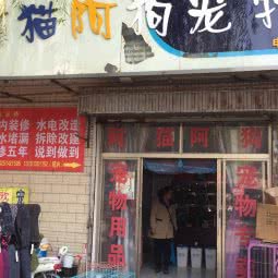 阿猫阿狗宠物店(文苑路店):盐城市亭湖区文港路附近