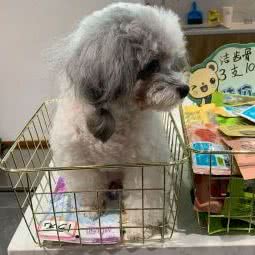 它语:盐城市亭湖区先锋国际广场附近