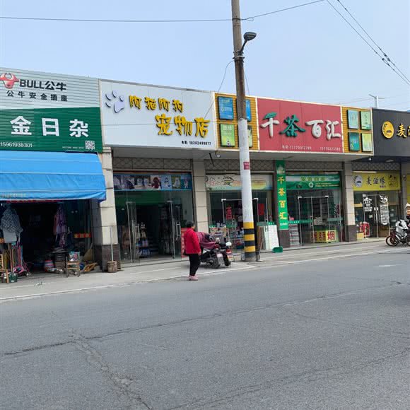 阿猫阿狗宠物店(永宁店):盐城市亭湖区开放大道附近