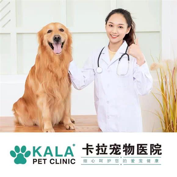 KALA卡拉宠物医院(亭湖区店):盐城市亭湖区大庆路附近