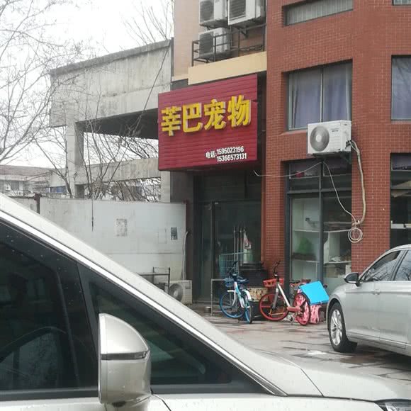 莘巴宠物:盐城市亭湖区黄海路附近