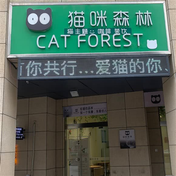 猫咪森林(魔力月光店):盐城市盐都区中南城购物中心附近