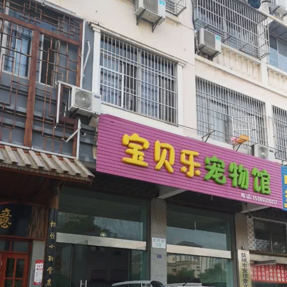 宝贝乐宠物馆:盐城市盐都区解放南路附近