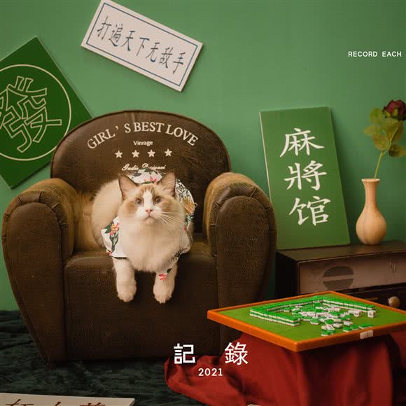 宠物摄影:盐城市盐都区财富港附近