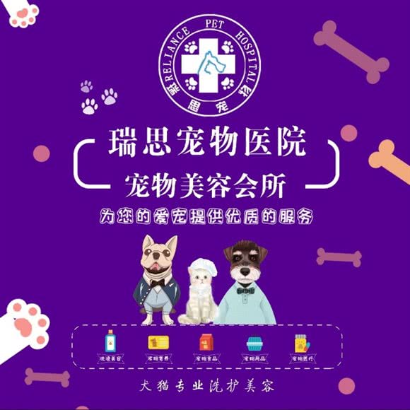 瑞思宠物美容会所:盐城市盐都区开元路附近