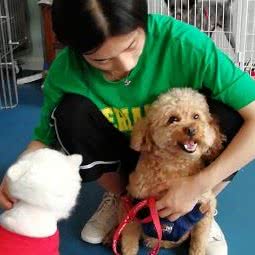 苏农小动物转诊中心:扬州市广陵区工人新村附近