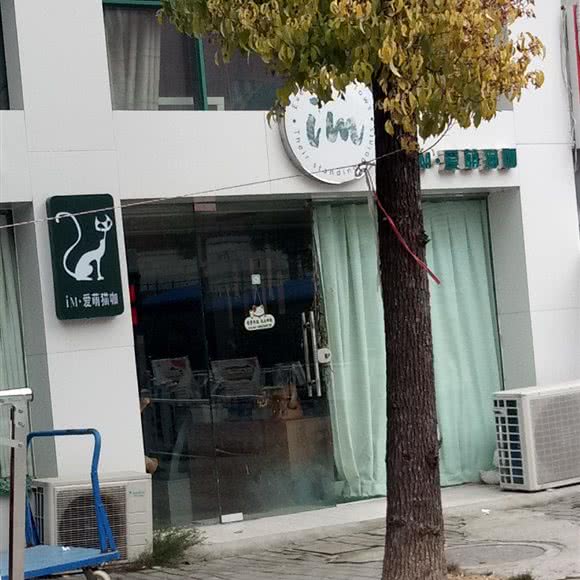 爱萌猫咖:扬州市广陵区解放桥/江都路附近