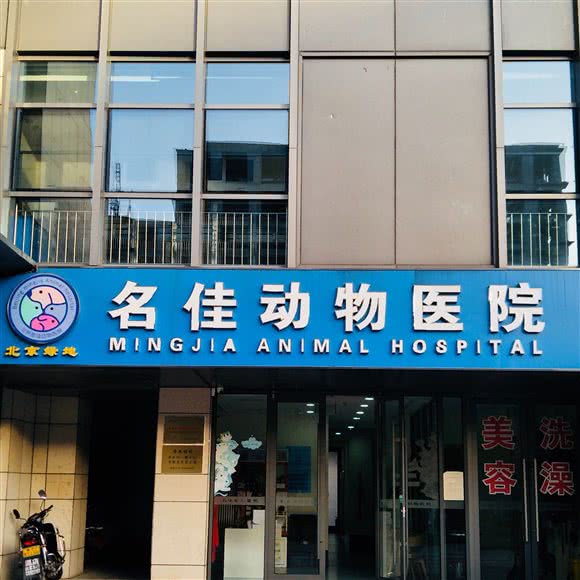 北京绿地名佳动物医院:北京城区顺义区后沙峪附近