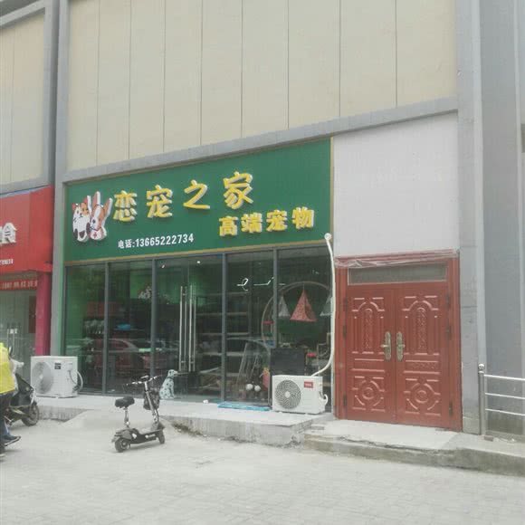 宠恋之家高档宠物:扬州市广陵区城东附近