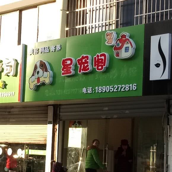 星宠阁:扬州市广陵区城东附近