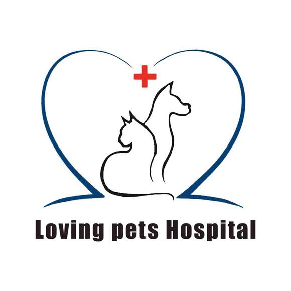 爱它宠物医院(和昌店):扬州市广陵区城东附近