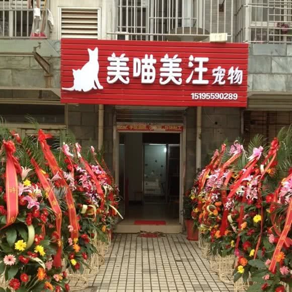 美喵美汪宠物:扬州市广陵区联运小区/汤汪附近