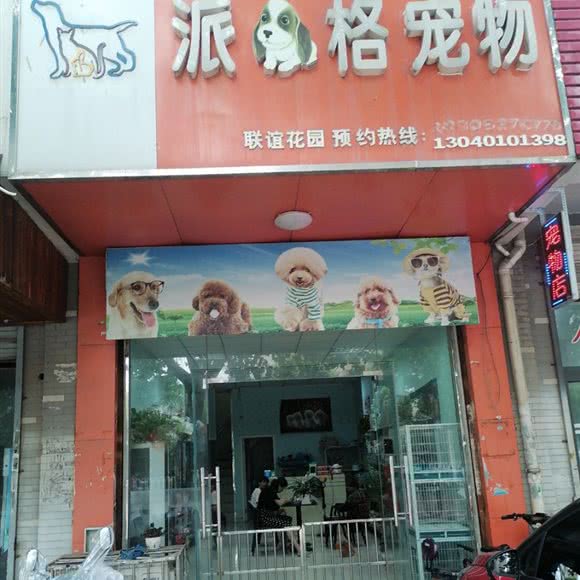 派格宠物(联谊花园店):扬州市广陵区联运小区/汤汪附近