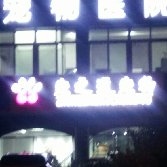 宠之道宠物医院:扬州市广陵区联运小区/汤汪附近