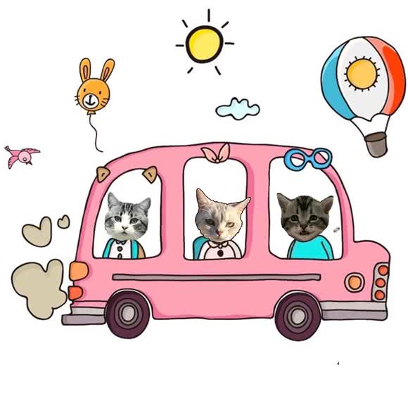 有它们宠物:北京城区顺义区顺义附近