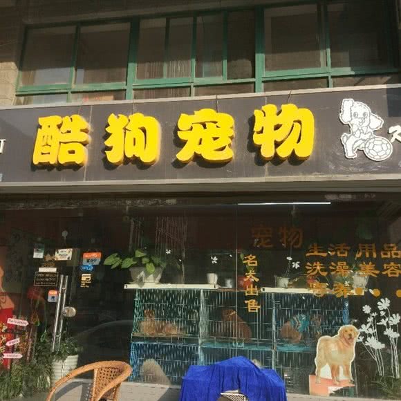冠能酷狗宠物:扬州市邗江区文汇西路附近