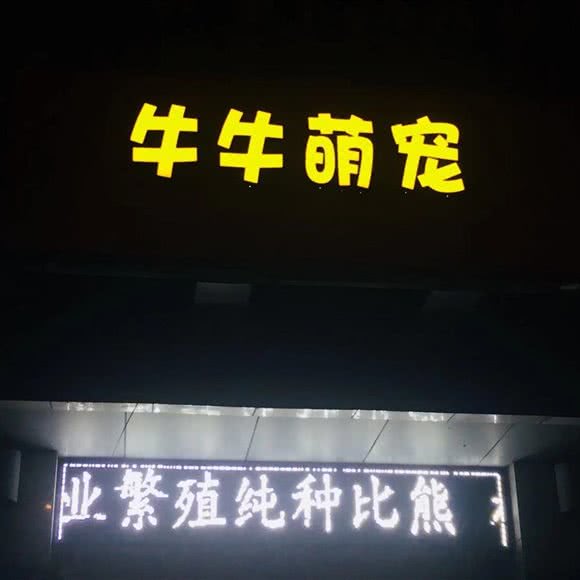 牛牛萌宠生活馆:扬州市邗江区文汇西路附近