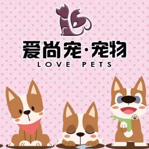 爱尚宠宠物:北京城区顺义区顺义附近