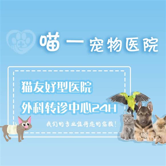 喵一宠物医院:扬州市邗江区梅岭附近