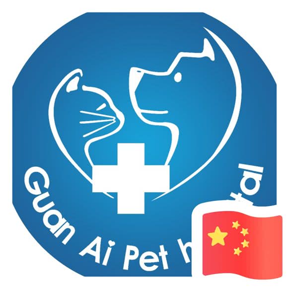 关爱宠物诊疗中心(京华城店):扬州市邗江区京华城附近