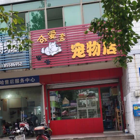 可爱多宠物店:扬州市邗江区秋雨路附近