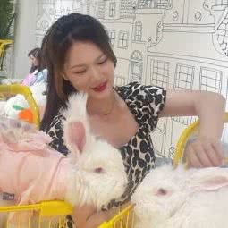 萌宠欢乐谷:扬州市邗江区三盛国际广场附近