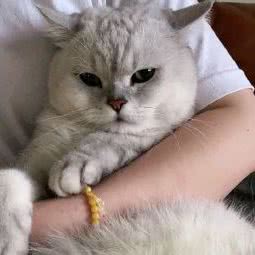 随喜小舍:扬州市邗江区翠岗附近