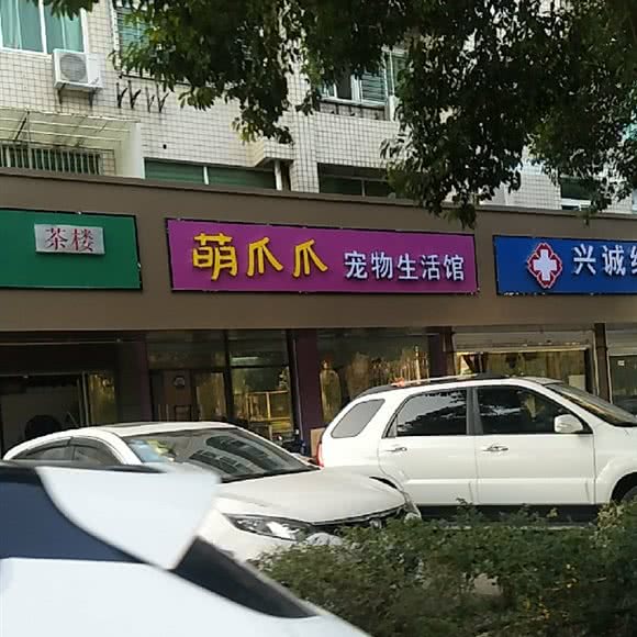 萌爪爪宠物生活馆:扬州市邗江区翠岗附近