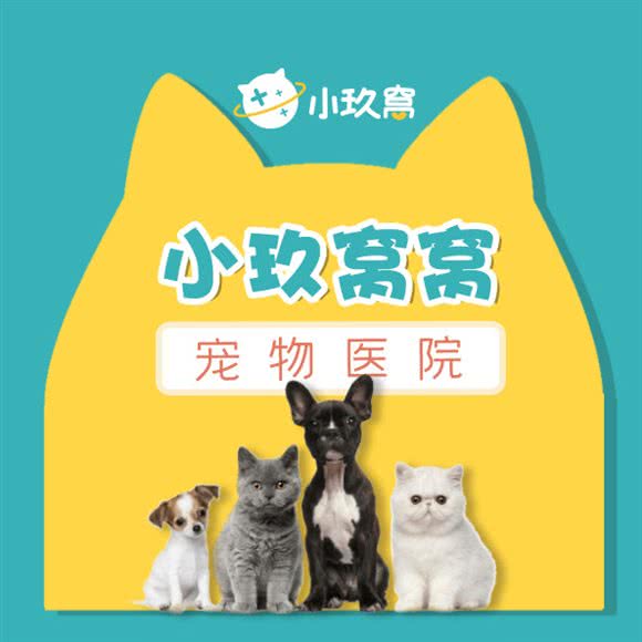 小玖窝窝宠物医院·国际猫友好医院:扬州市邗江区翠岗附近