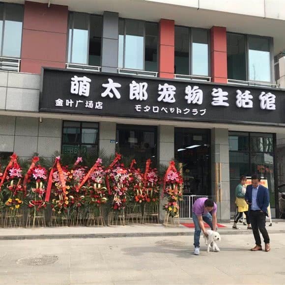 萌太郎宠物生活馆(金叶广场店):扬州市邗江区西湖镇附近