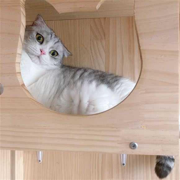 汪小喵面包店:扬州市邗江区西湖镇附近