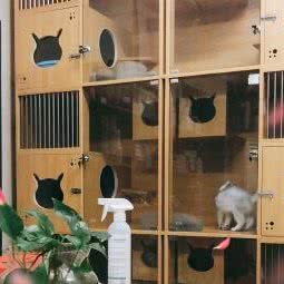 小动物管理局:扬州市邗江区来鹤台广场附近