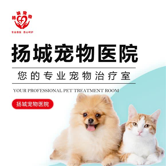 扬城宠物医院(百祥路店):扬州市邗江区百祥路附近