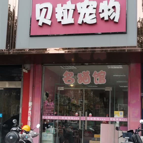 贝拉宠物:扬州市邗江区邗江中路附近