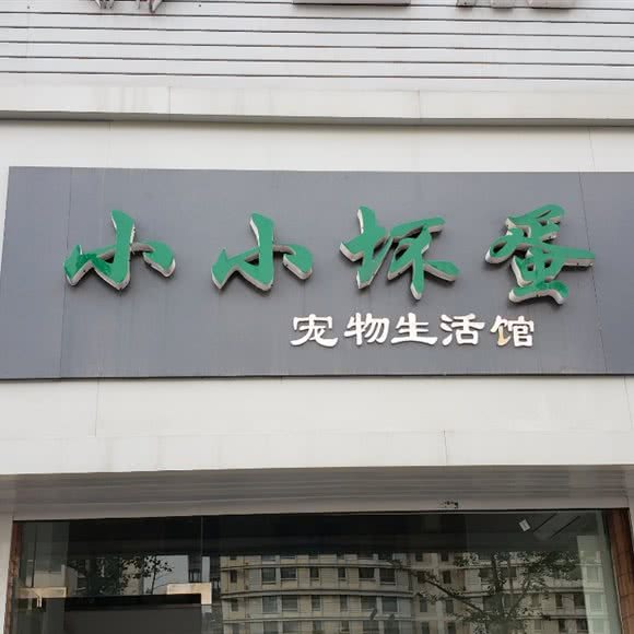 小小坏蛋宠物生活馆:扬州市邗江区邗江中路附近