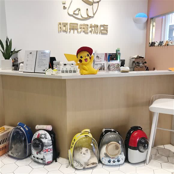 阿呆宠物店(吾悦店):扬州市邗江区竹西御龙湾商业广场附近