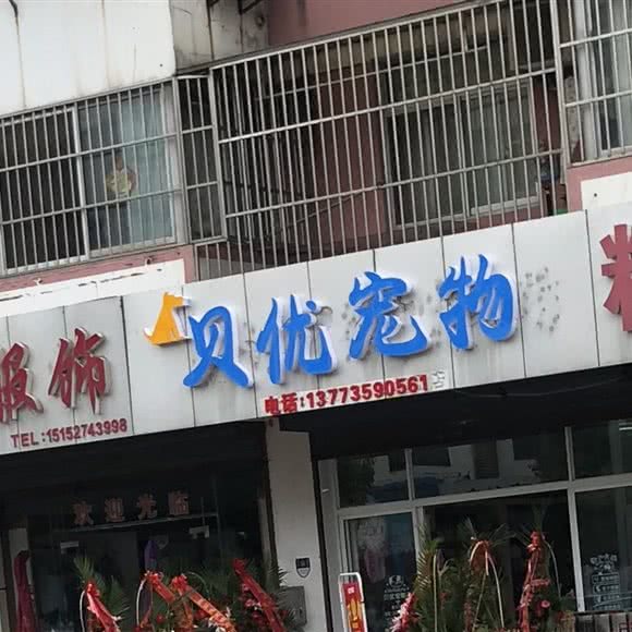 贝优宠物:扬州市邗江区竹西御龙湾商业广场附近