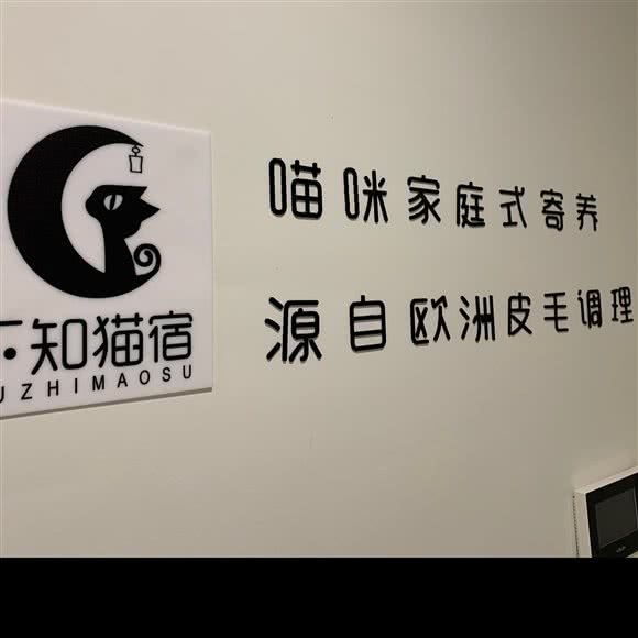 不知猫宿专业猫咪工作室:扬州市邗江区万达广场附近