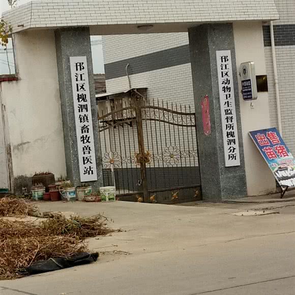 邗江区槐泗镇畜牧兽医站:扬州市邗江区城北附近