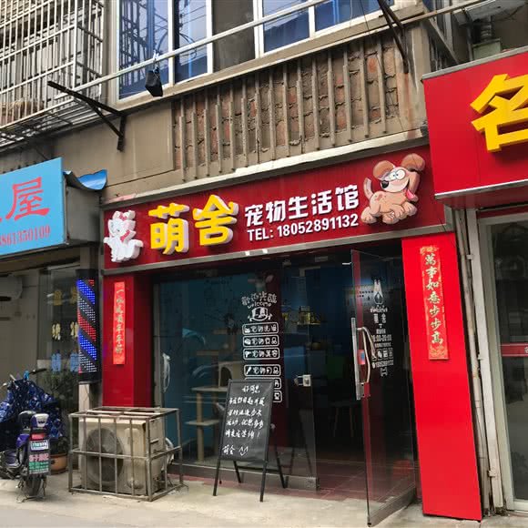 萌舍宠物生活馆:镇江市京口区大市口附近
