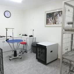 优贝宠物(第一楼街):镇江市京口区大市口附近