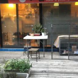 吉吉宠物加油站宠物店:北京城区朝阳区亚运村附近