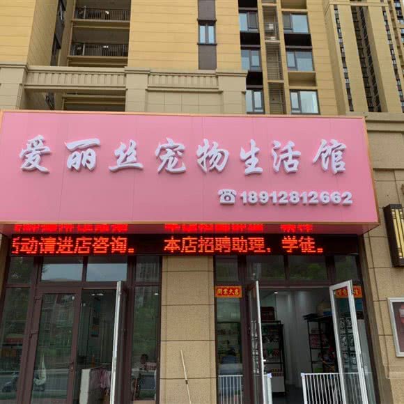 爱丽丝宠物生活馆:镇江市京口区欧尚/学府路附近